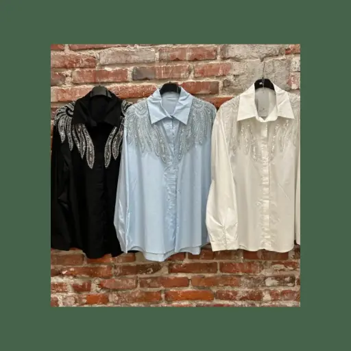 Camisa bordada con brillos